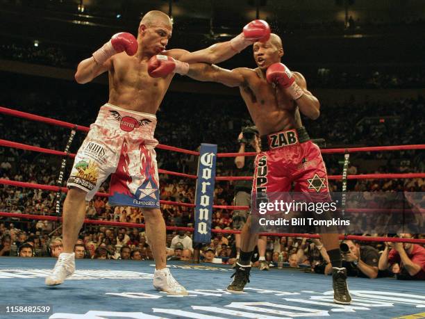 June 9: Miguel Cotto defeats Zab Judah by TKO in the 11th round in their Welterweight fight at Madison Square Garden on June 9, 2007 in New York City.