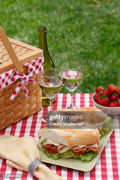 american hoagie sanwich for summer backyard picnic - checkered table cloth stock pictures, royalty-free photos & images