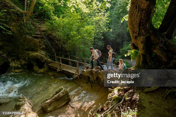 tre amici che camminano nei boschi soleggiati primaverili e nel fiume - family hiking in spring outdoors foto e immagini stock