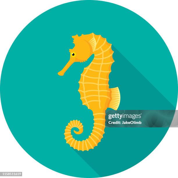 1 141点のタツノオトシゴイラスト素材 Getty Images 1 141点のタツノオトシゴイラスト素材 Getty Images