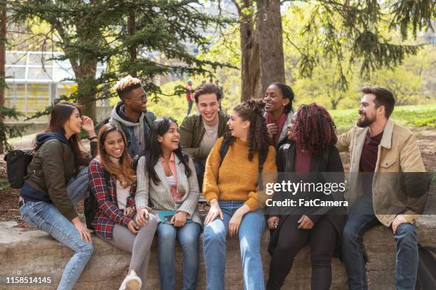 multi-ethnic gruppe von universitätsstudenten spielen - indian college students stock-fotos und bilder