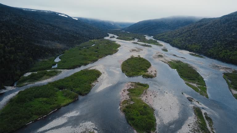 Newfoundland Color Rivers 11,269 River Crest Stock Videos, Footage, & 4K Video Clips - Getty Images