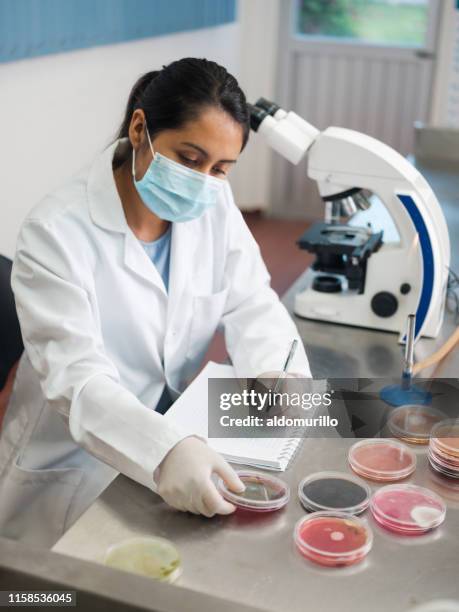 Lab Sample Good Practice 468 Good Laboratory Practice Stock Photos, High-Res Pictures, and ...