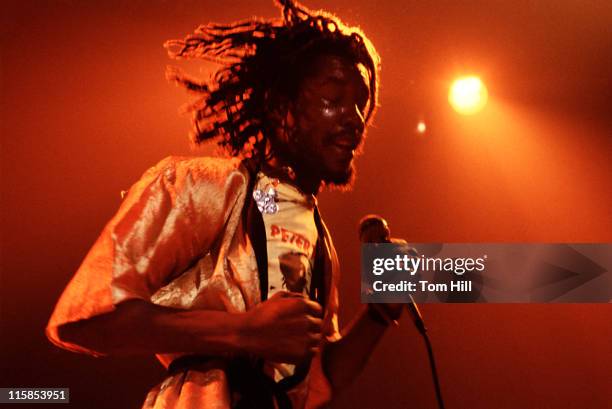 61 Alex Tosh Stock Photos, High-Res Pictures, and Images - Getty Images