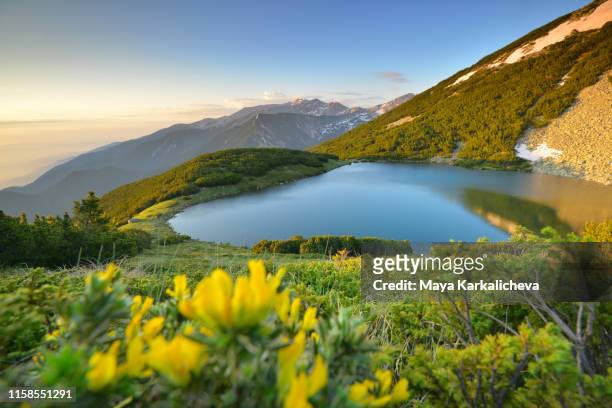 sunrise over mountain lake with with flowers in the foreground - bansko stockfoto's en -beelden