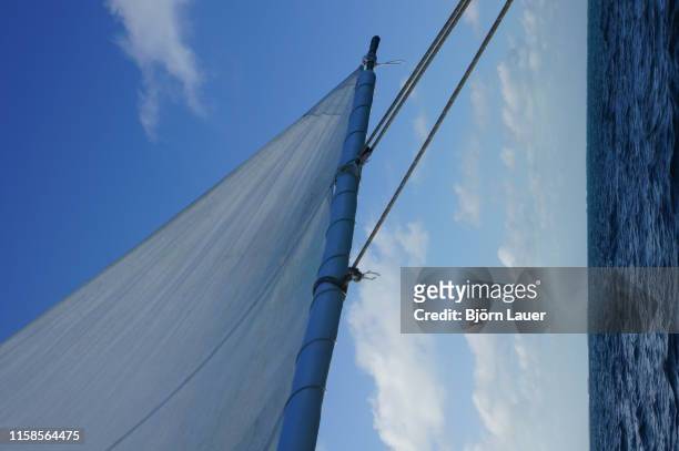 a sail is blowing in the wind near caye caulker - lauer stock pictures, royalty-free photos & images