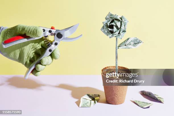 an origami dollar flower is pruned - cut up dollar bill stock pictures, royalty-free photos & images