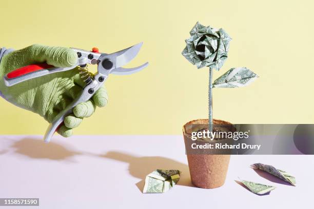 an origami dollar flower is pruned - richard gentles stock pictures, royalty-free photos & images