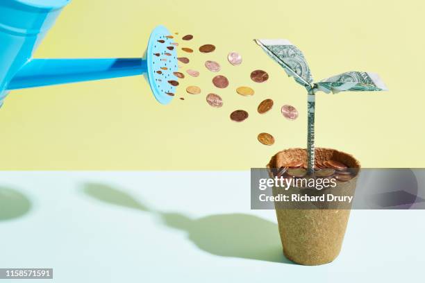 origami dollar seedling being watered with coins - watering can stock pictures, royalty-free photos & images