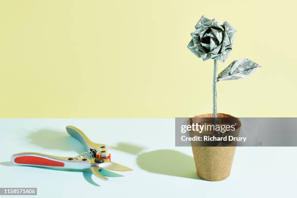 pruning shears sitting next to an origami dollar flower - 緊縮財政 ストックフォトと画像