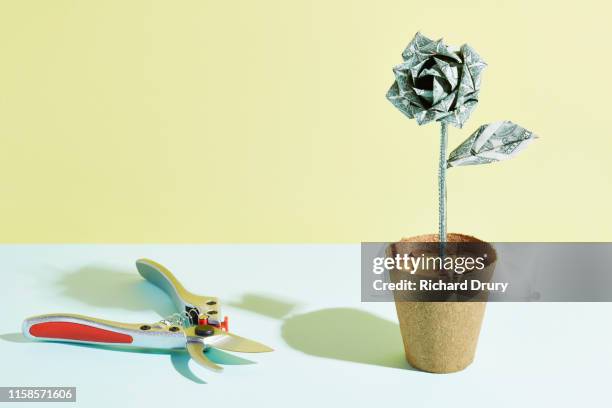 pruning shears sitting next to an origami dollar flower - austerity imagens e fotografias de stock