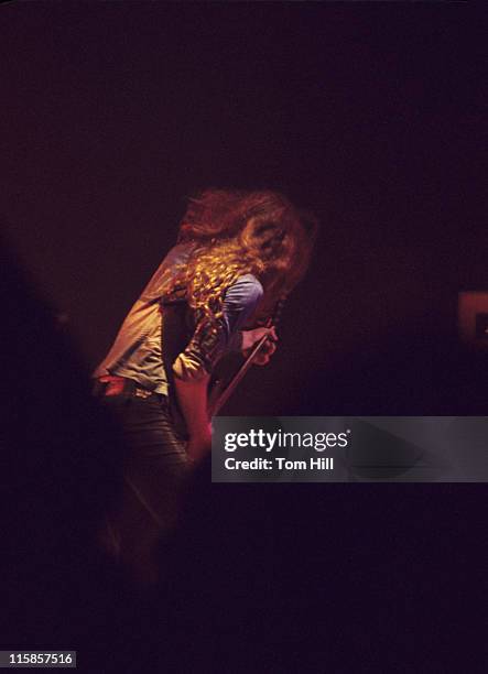 Guitarist Allen Collins of Lynyrd Skynyrd performs at the Omni Coliseum on July 5, 1975 in Atlanta, Georgia.