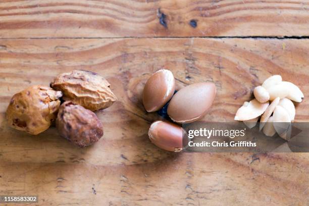 traditional moroccan argan oil - argan stock pictures, royalty-free photos & images