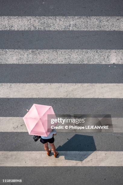 woman with a ping umbrella walking on a crosswalk - woman cross legs fotografías e imágenes de stock