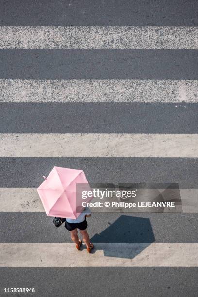 woman with a ping umbrella walking on a crosswalk - travessia de pedestres marca de rua - fotografias e filmes do acervo