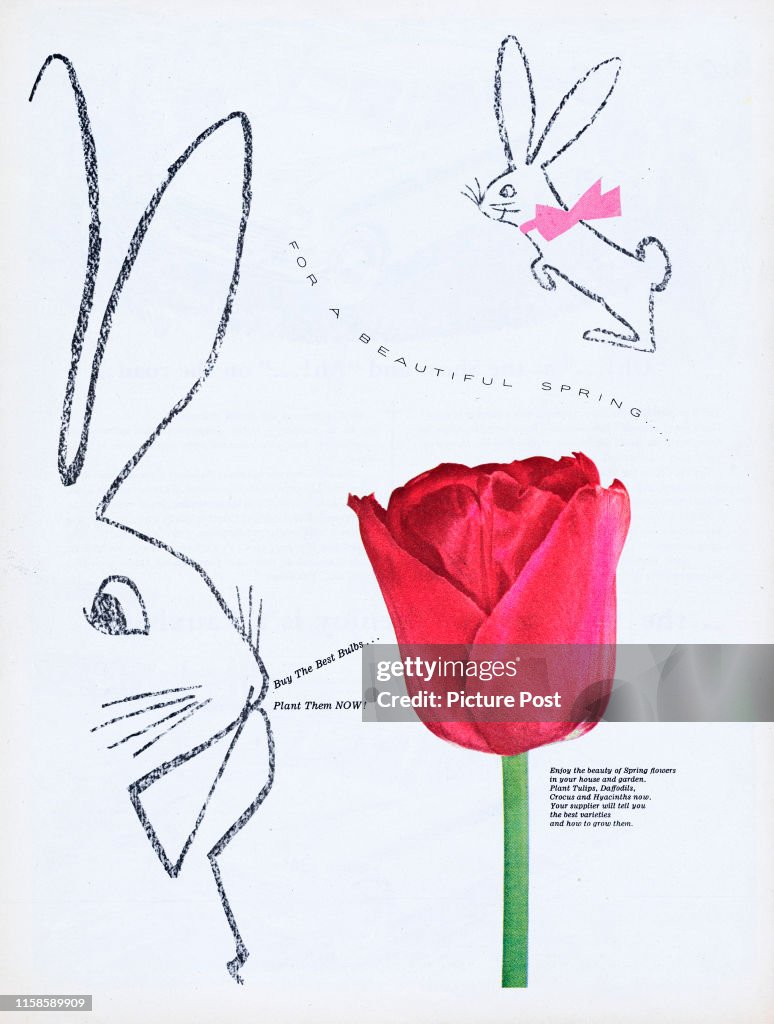 For A Beautiful Spring