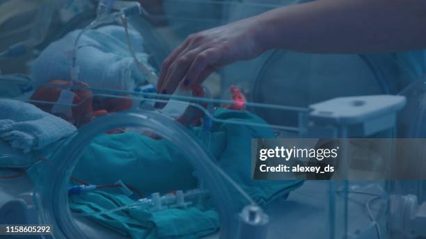 neonato prematuro all'interno dell'incubatrice con luce ultravioletta - lettino ospedale foto e immagini stock