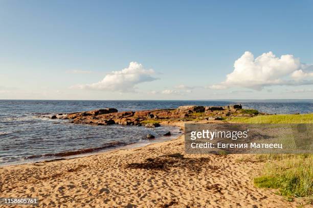 view of sea shore on kiy island in the onega bay of the white sea in arkhangelsk region russia - arkhangelsk stock pictures, royalty-free photos & images