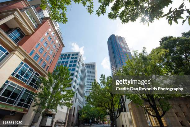 skyscrapers in downtown charlotte - charlotte north carolina neighborhood stock pictures, royalty-free photos & images