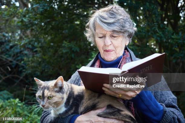 seniorin liest bibel in ihrem schönen garten - old woman cat stock-fotos und bilder