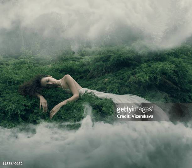 resting women in foggy bush - dreamlike stock pictures, royalty-free photos & images