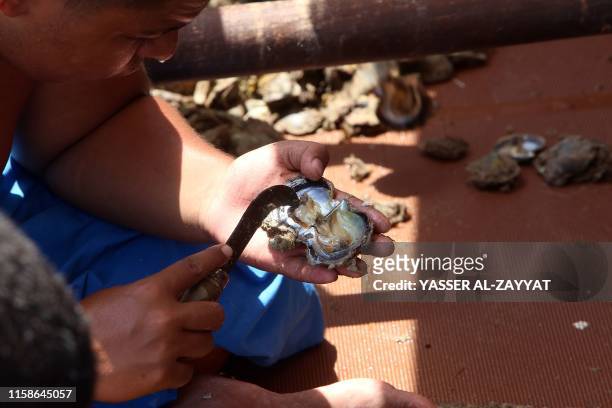 Kuwaiti diver searches for pearls in shells during the annual pearl diving season on July 30, 2019 off the coast of the port city of Khairan, 100 kms...
