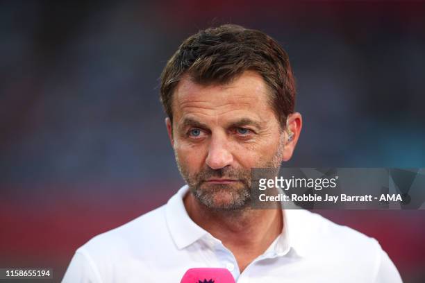 Tim Sherwood reporting for Premier League during to the Premier League Asia Trophy 2019 fixture between Newcastle United and Wolverhampton Wanderers...