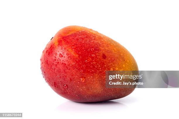 mango fruit with water drops on white background - mangue photos et images de collection