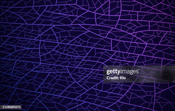 abstract gradient network lines - road crack stock illustrations