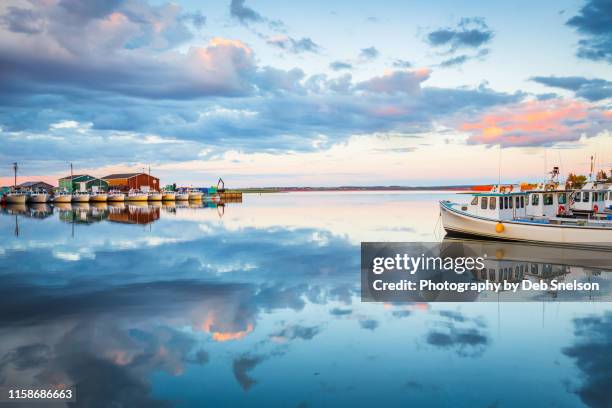 calm water at malpeque harbor - prince edward island canada - atlantic canada stock pictures, royalty-free photos & images