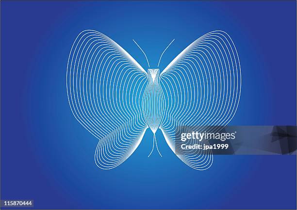 vector line butterfly - symmetry stock illustrations