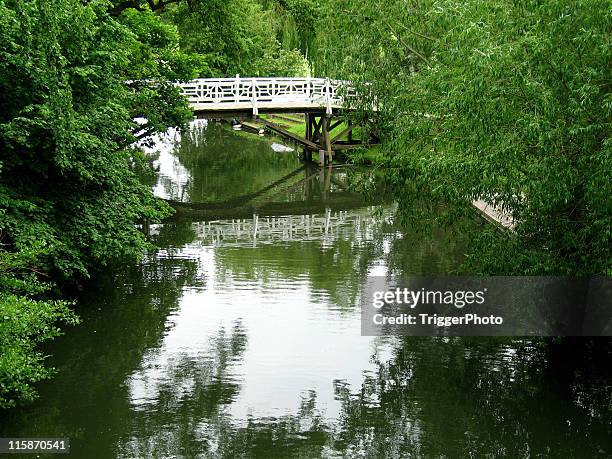 oxford university - oxford mississippi stock pictures, royalty-free photos & images