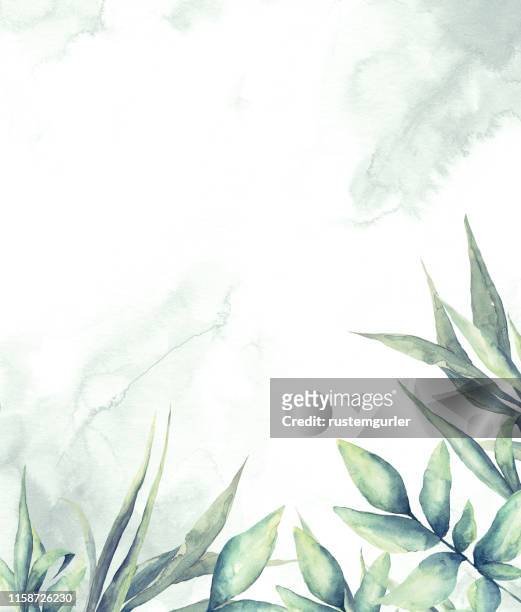 illustrazioni stock, clip art, cartoni animati e icone di tendenza di cornice floreale con foglie tropicali ad acquerello - acquerello