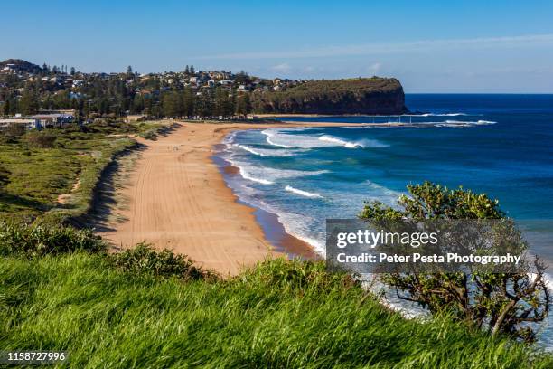 mona vale beach - north pacific stock pictures, royalty-free photos & images