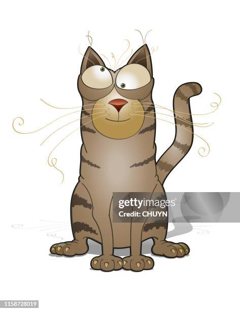 crazy cat - lazy cat stock illustrations