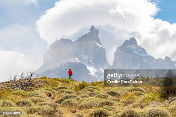 het uitzicht op het wandelpad in torres del paine national park, chili (parque nacional torres del paine) - cuernos del paine stockfoto's en -beelden