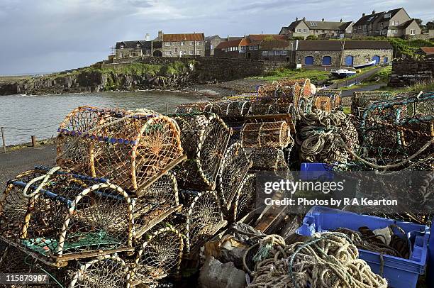 craster - craster stock-fotos und bilder