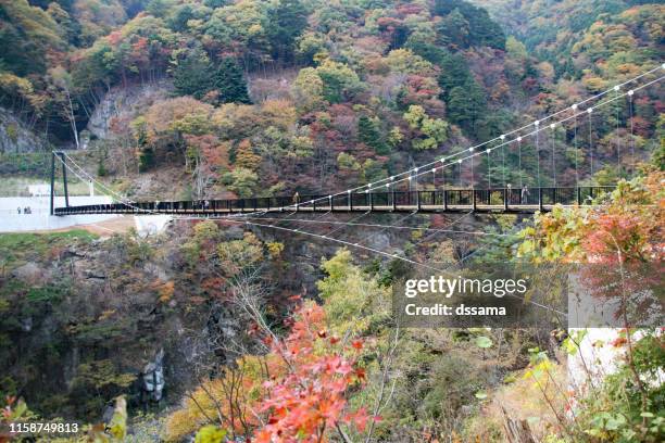 Kinugawa River Photos and Premium High Res Pictures Getty Images