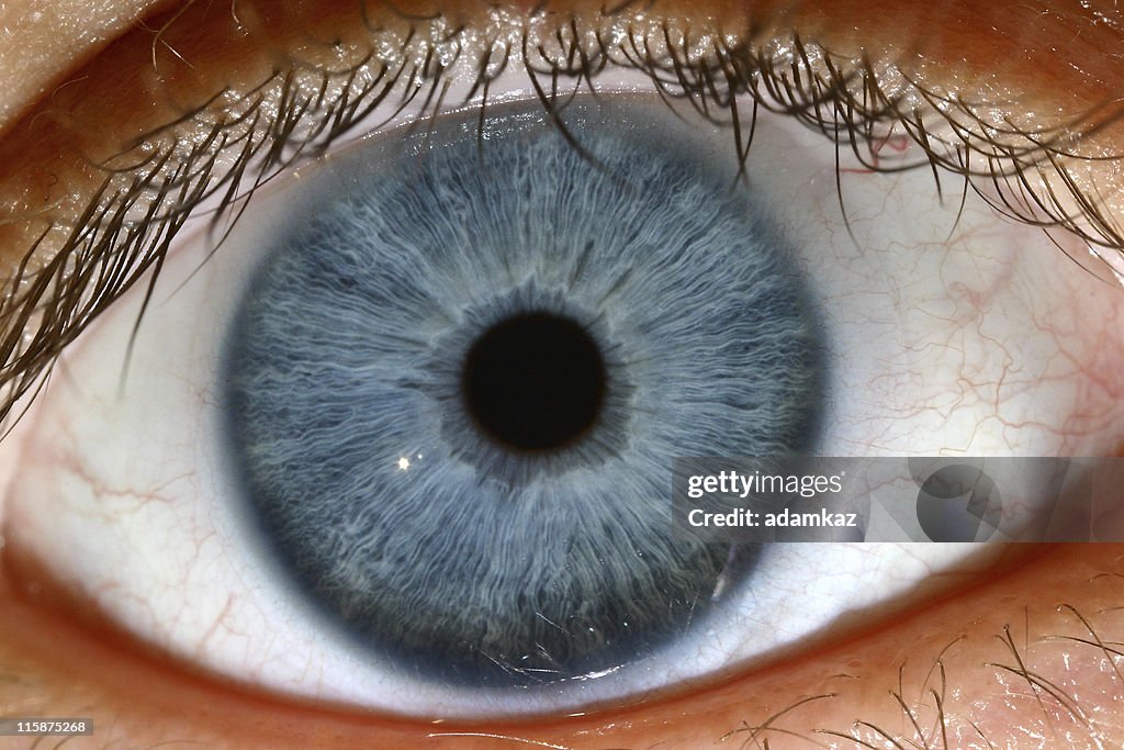 Blue Eye High Res Stock Photo Getty Images blue-eye-high-res-stock-photo-getty-images