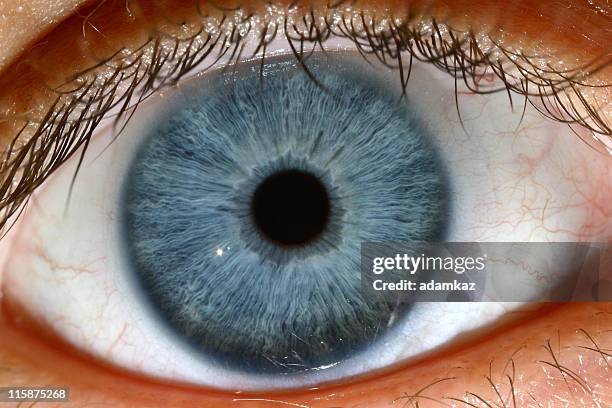blue eye - iris 個照片及圖片檔