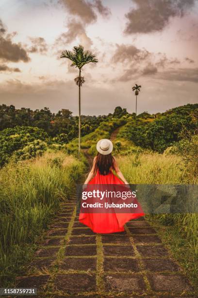 in de natuur is waar ze graag - campuhan ridge walk stockfoto's en -beelden