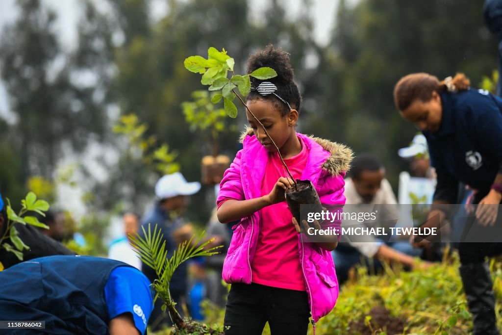 ETHIOPIA-CLIMATE-TREES