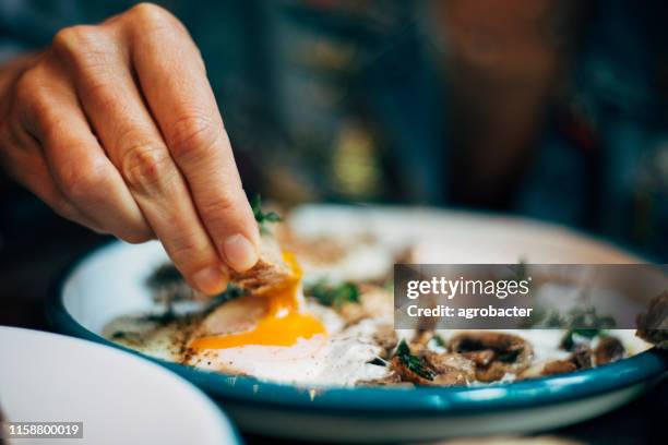 woman eating the breakfast with scrambled eggs - povo turco imagens e fotografias de stock