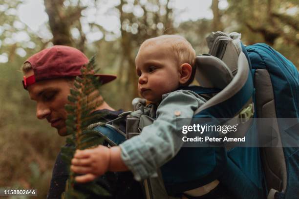 hiker with baby exploring forest, queenstown, canterbury, new zealand - family new zealand stockfoto's en -beelden