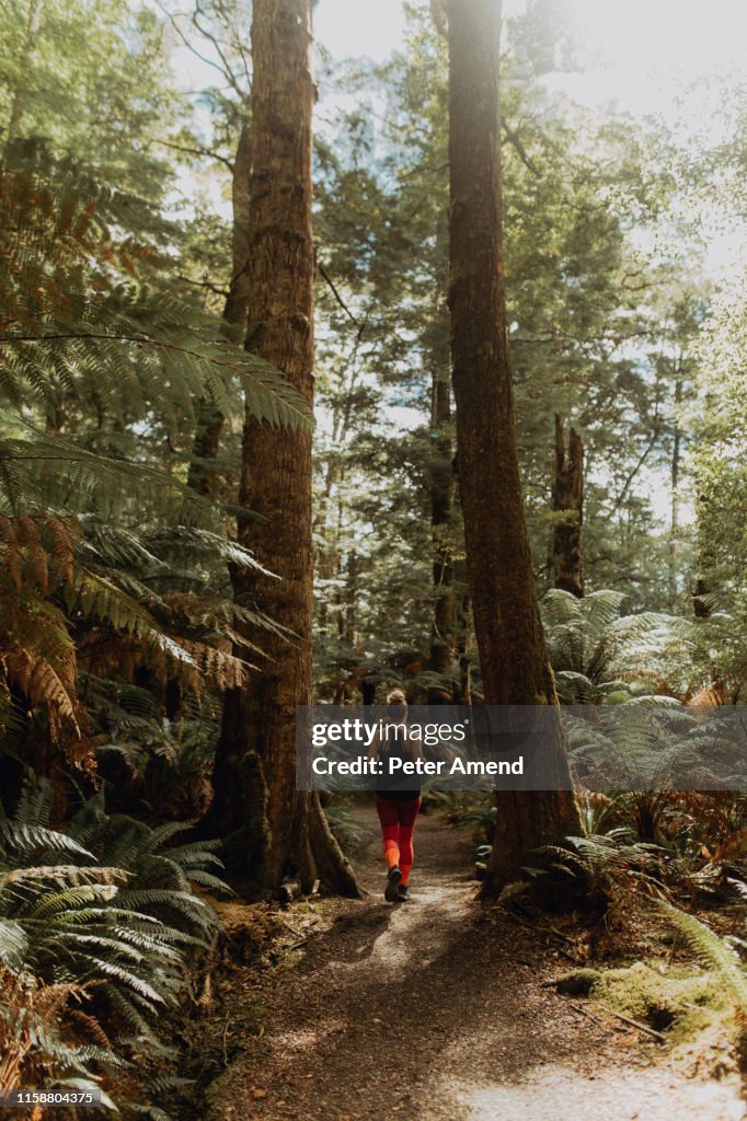 Woman jogging in forest, Queenstown, Canterbury, New Zealand