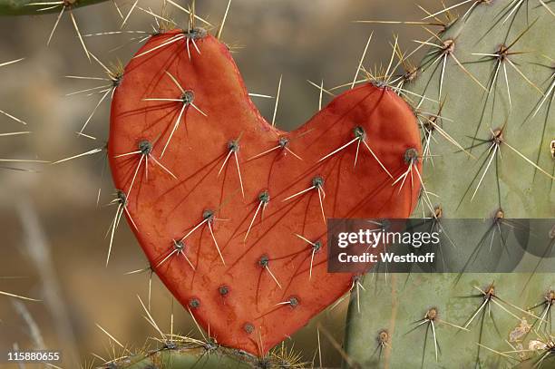 love hurts - toxin stockfoto's en -beelden