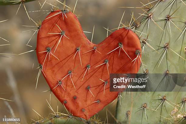 love hurts - poisonous stock pictures, royalty-free photos & images