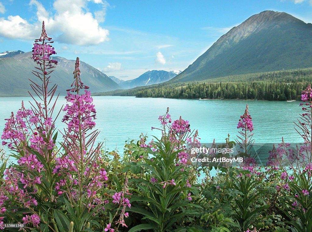 Alaska