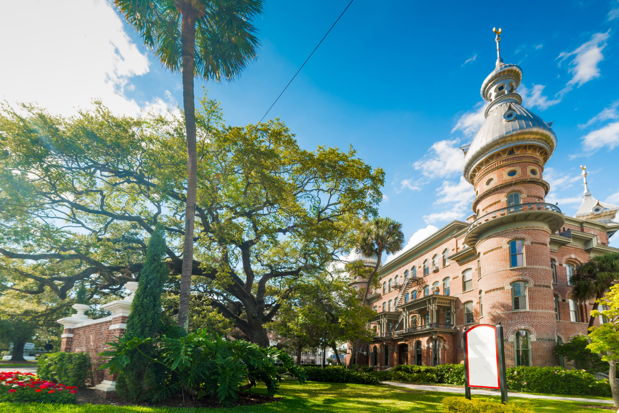 tampa university students