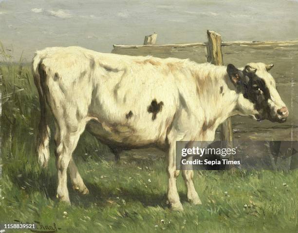 Johannes Hubertus Leonardus De Haas Photos and Premium High Res